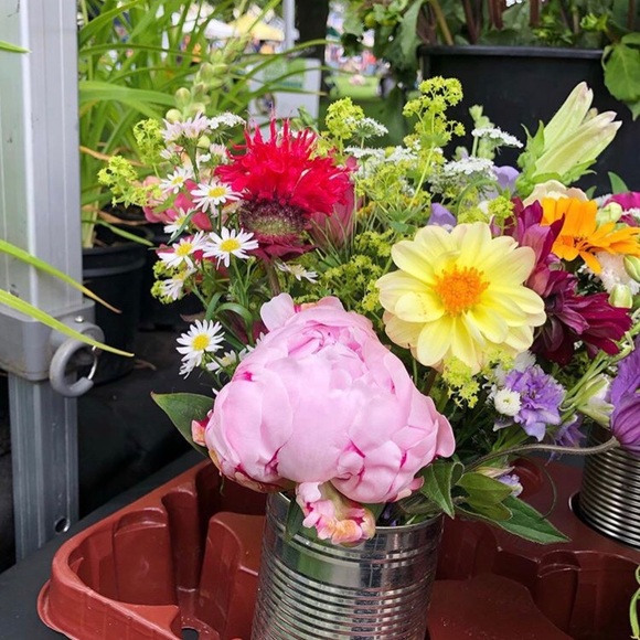 Meet your Posher, Lindsay - Picture 2 of 2